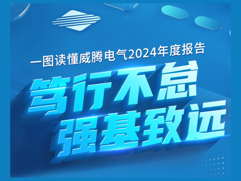 一图读懂拉斯维加斯9888电气2024年度报告